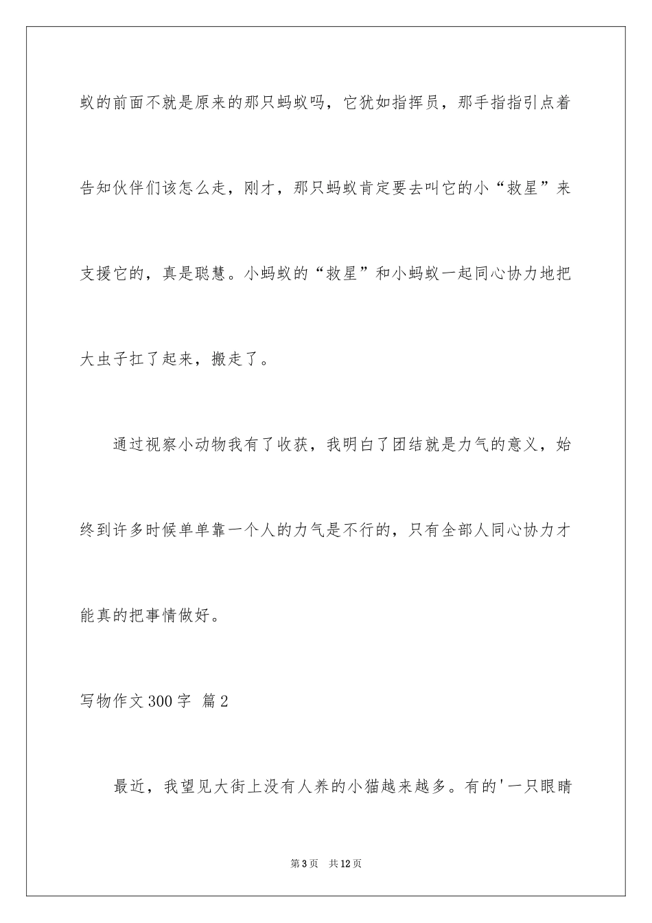 2024写物作文300字_111_第3页