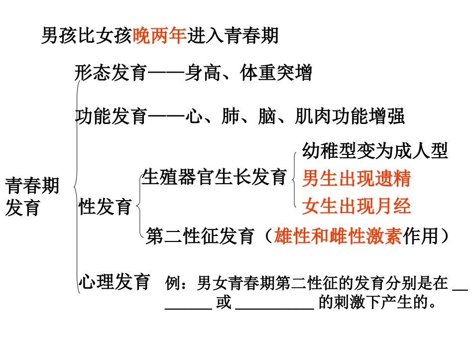 七下生物复习课件_第2页