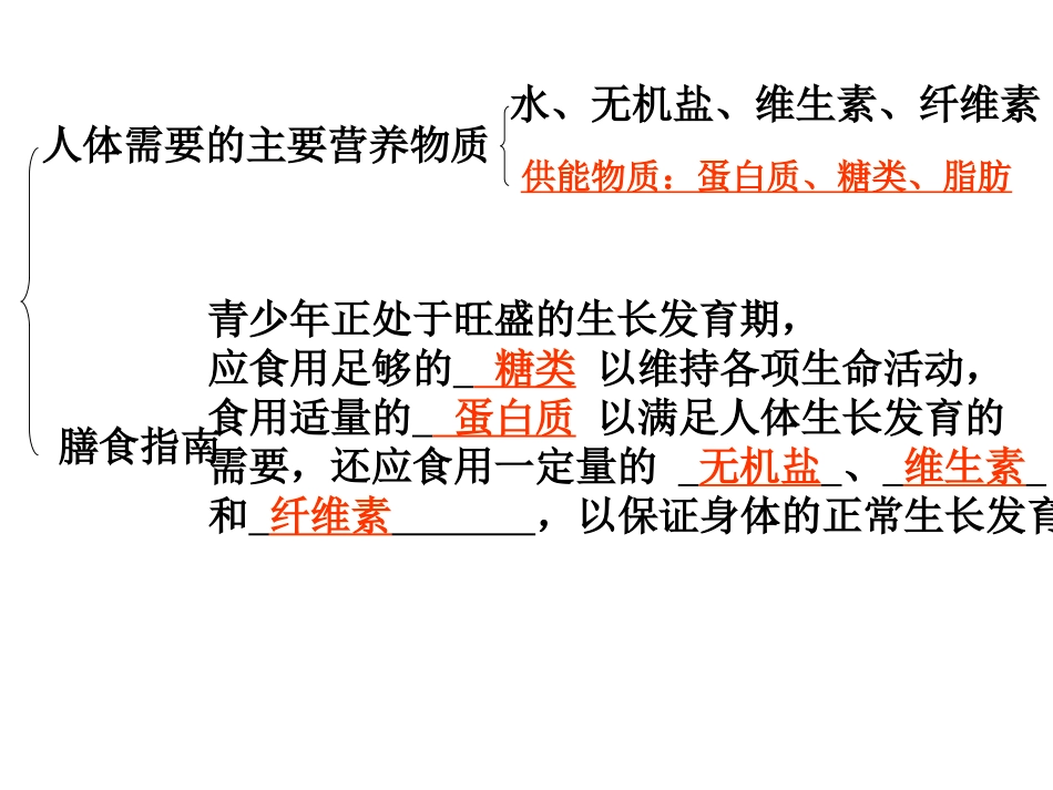 七下生物复习课件_第3页