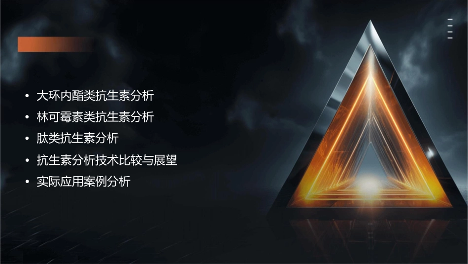 大环内酯类林可霉素类及肽类抗生素分析课件_第2页