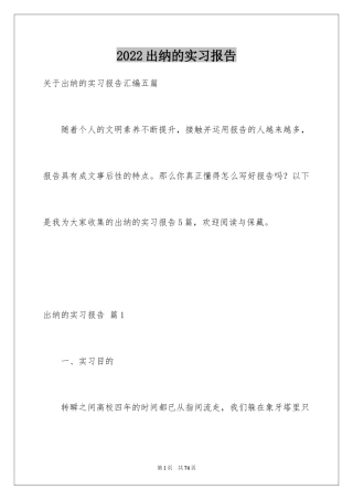 2024出纳的实习报告_33