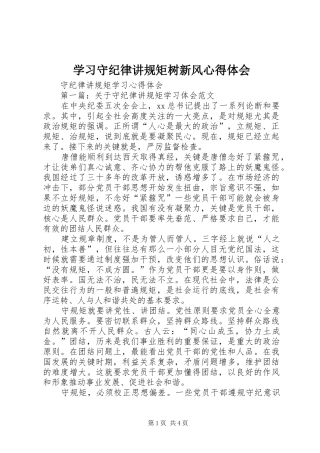 学习守纪律讲规矩树新风体会心得