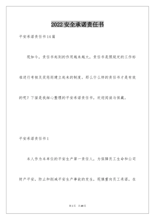 2024安全承诺责任书_6