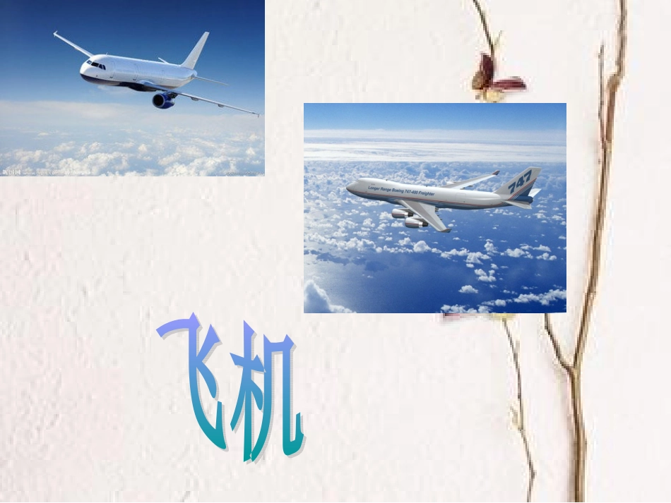 多种多样的运输方式_第2页