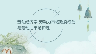 劳动经济学 劳动力市场政府行为与劳动力市场护理课件