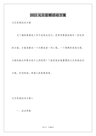 2024元旦促销活动方案_17