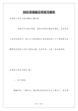 2024在保险公司实习报告_1