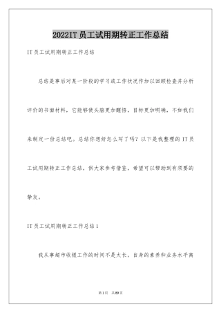 2024IT员工试用期转正工作总结_1