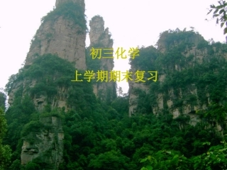 初三化学上学期复习归纳10[1]