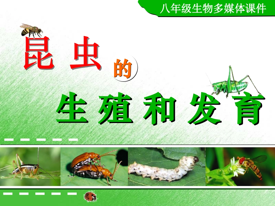 昆虫的生殖与发育_第2页