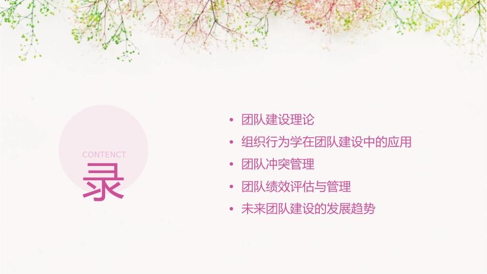 团队建设组织行为学通用课件_第2页