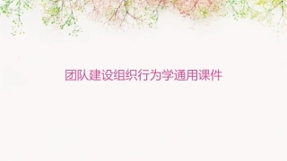团队建设组织行为学通用课件