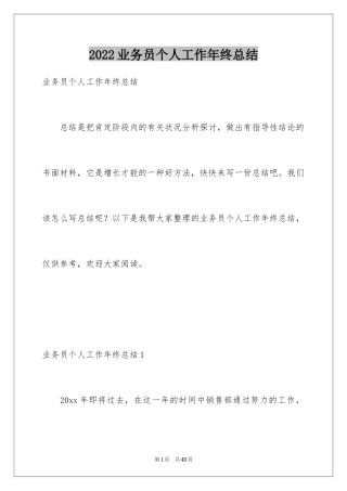 2024业务员个人工作年终总结