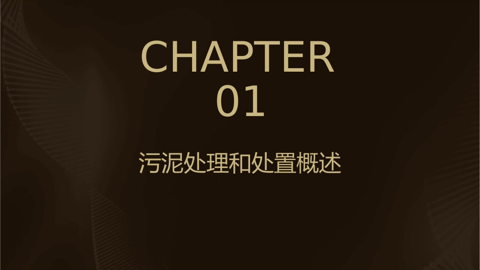 城市污水处理厂污泥的处理和处置通用课件_第3页