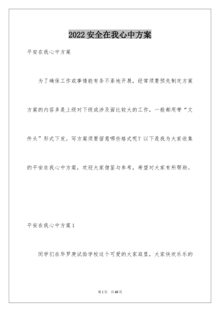 2024安全在我心中方案