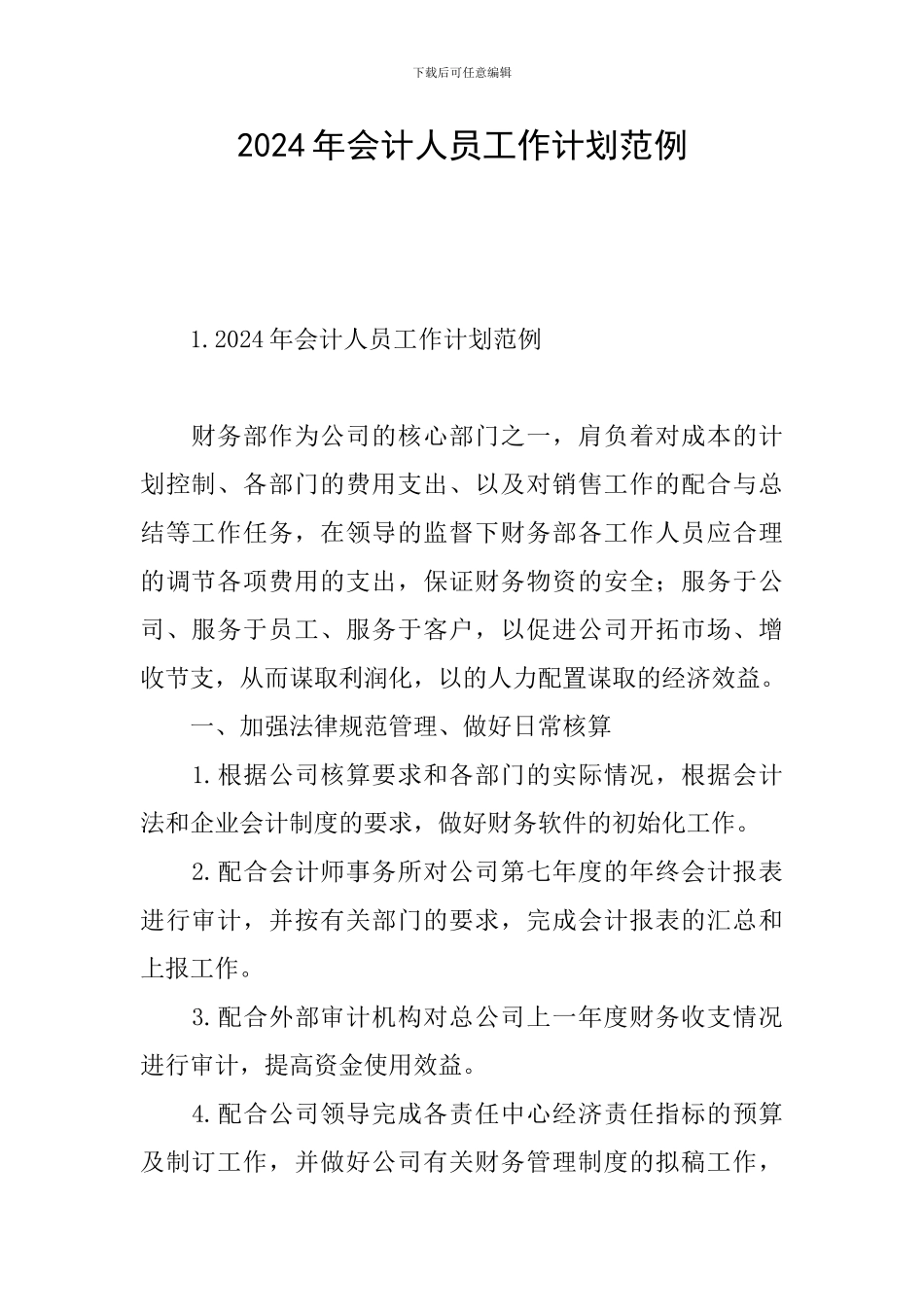 2024年会计人员工作计划范例_第1页