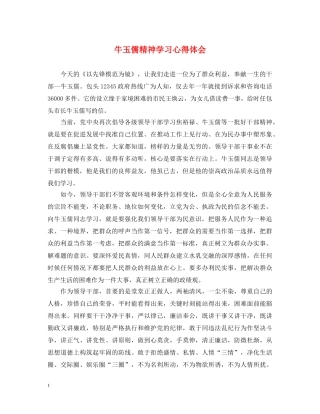 牛玉儒精神学习心得体会 