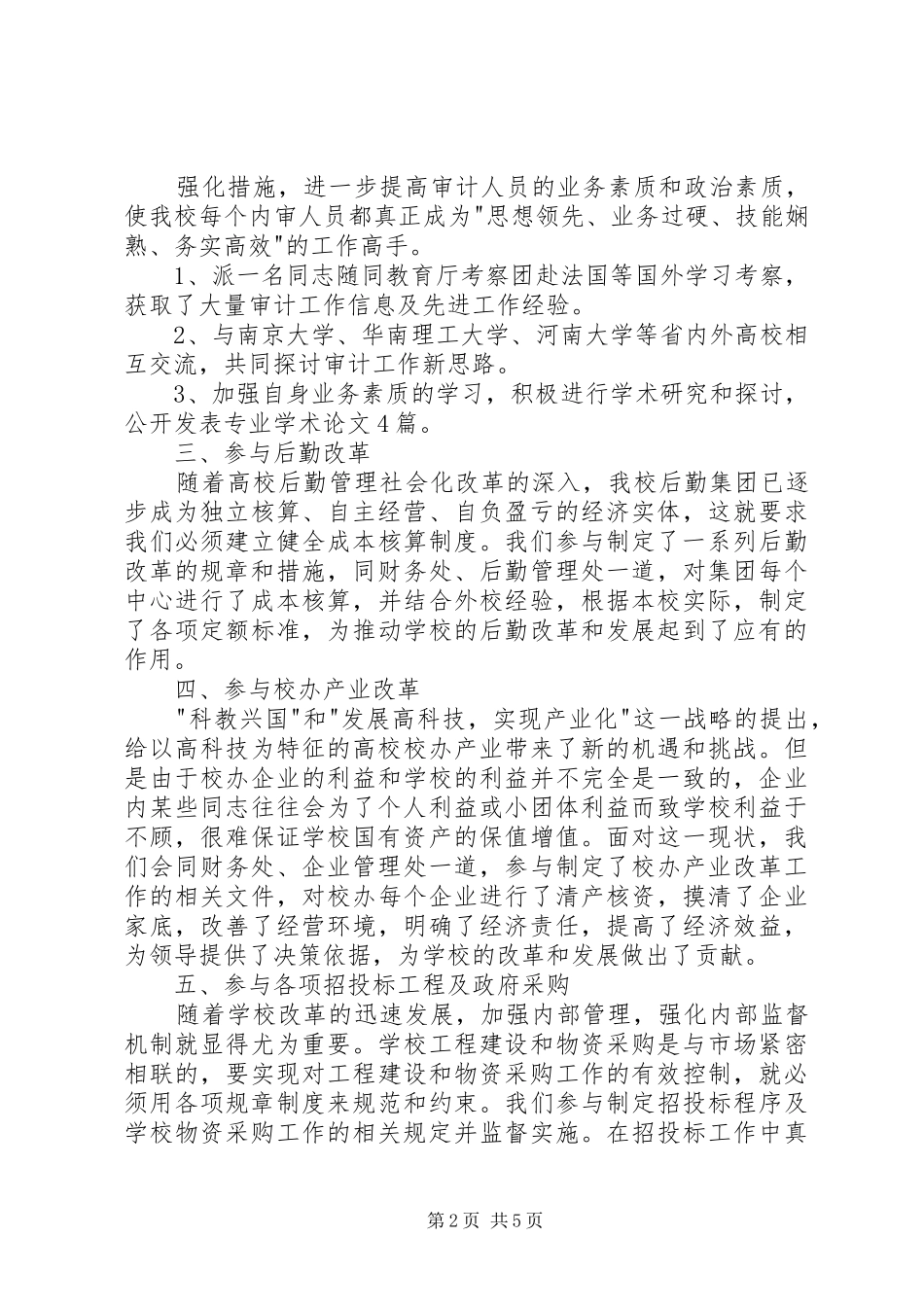 学校审计工作总结 _第2页