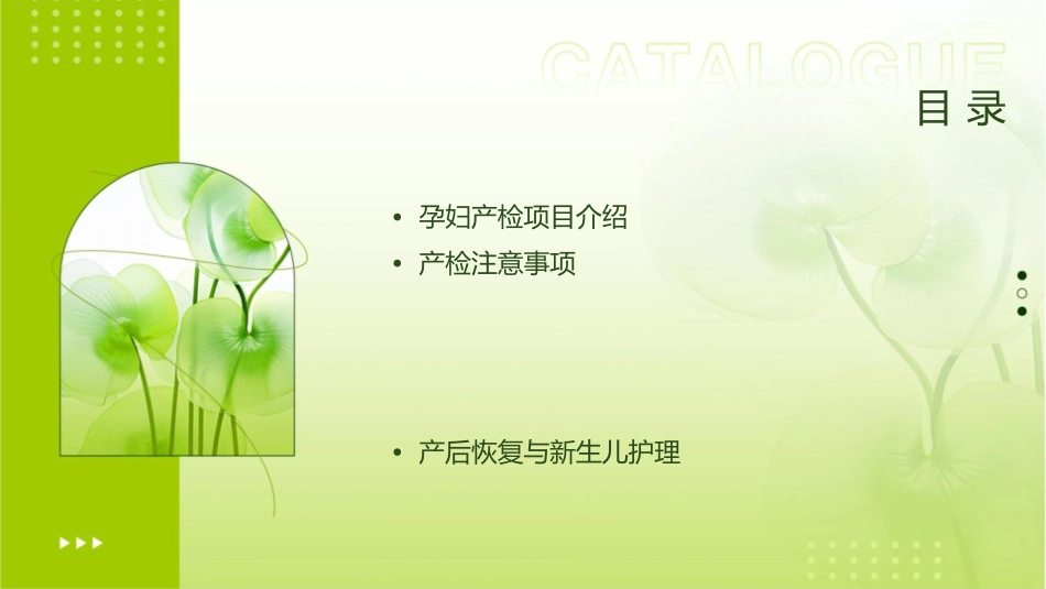 孕妇产检项目与注意事项护理课件_第2页