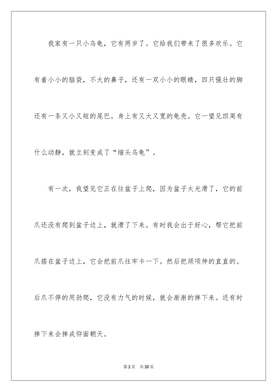 2024乌龟的说明文_7_第2页