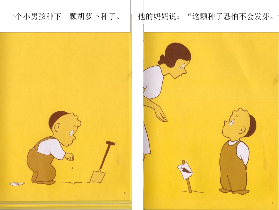 绘本故事-胡萝卜种子_第2页