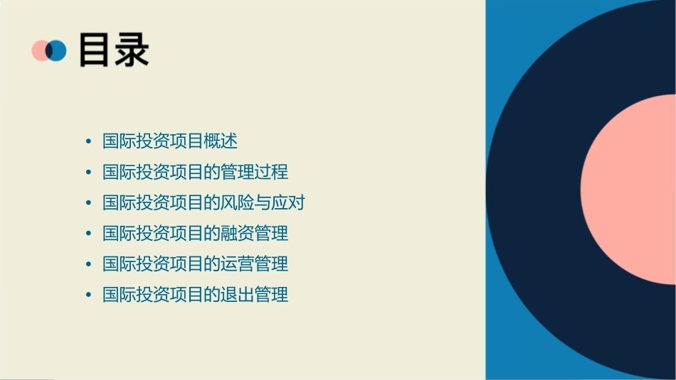 国际投资项目管理课件_第2页