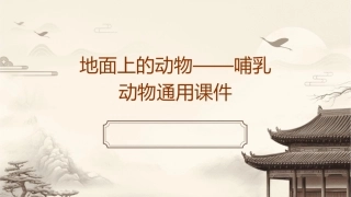 地面上的动物——哺乳动物通用课件