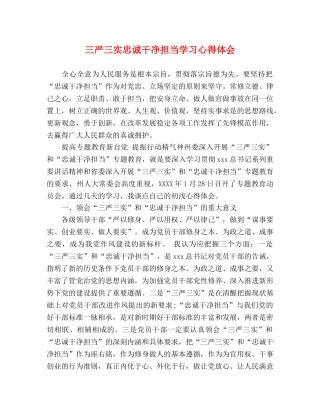 三严三实忠诚干净担当学习心得体会 