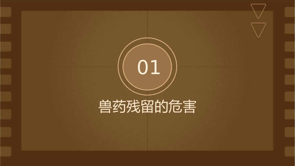 兽药残留检测技术激素类课件_第3页