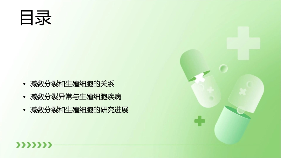 减数分裂和生殖细胞的形成课件_第2页