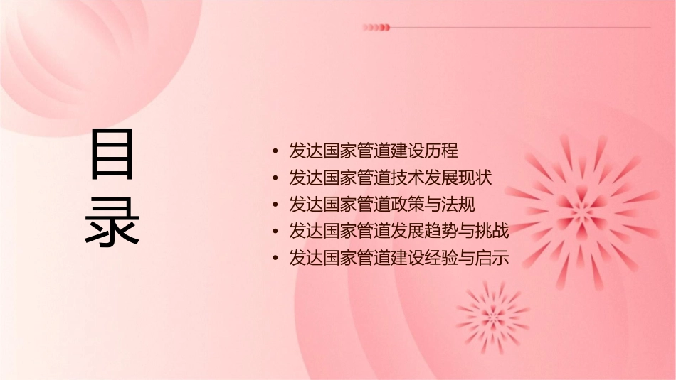 发达国家管道发展状况课件_第2页