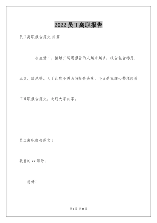 2024员工离职报告_35