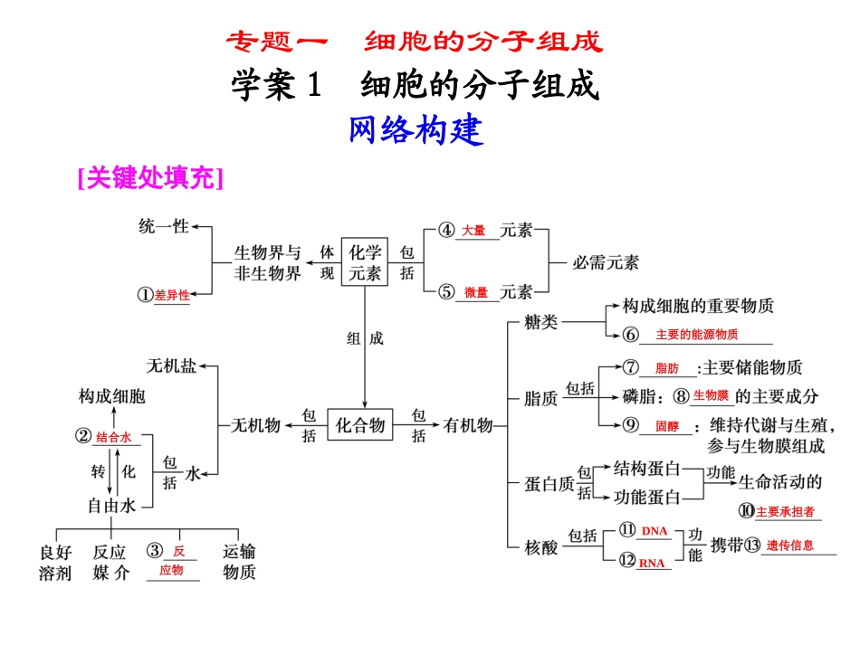 生物专题一学案1_第1页