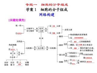 生物专题一学案1