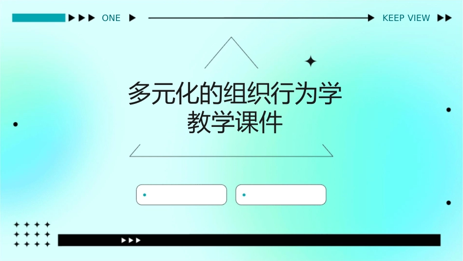 多元化的组织行为学教学课件_第1页
