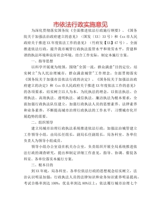 市依法行政实施意见 
