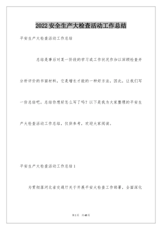 2024安全生产大检查活动工作总结