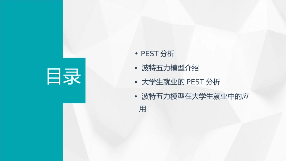 大学生PEST波特五力分析课件_第2页
