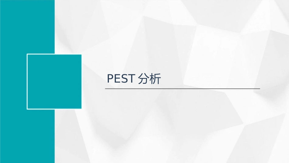 大学生PEST波特五力分析课件_第3页