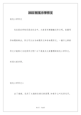 2024初见小学作文