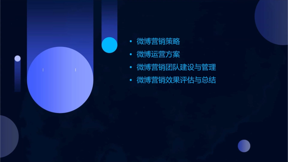 卡尔丹顿XXXX年度微博执行方案课件_第2页