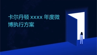 卡尔丹顿XXXX年度微博执行方案课件