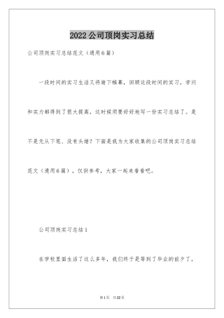 2024公司顶岗实习总结