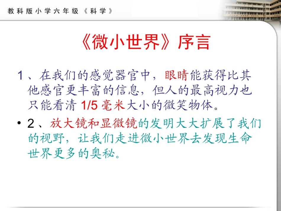 六年级科学下放大镜1_第1页