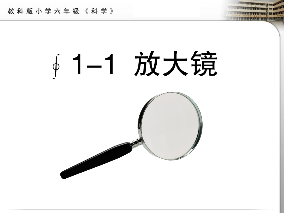 六年级科学下放大镜1_第2页
