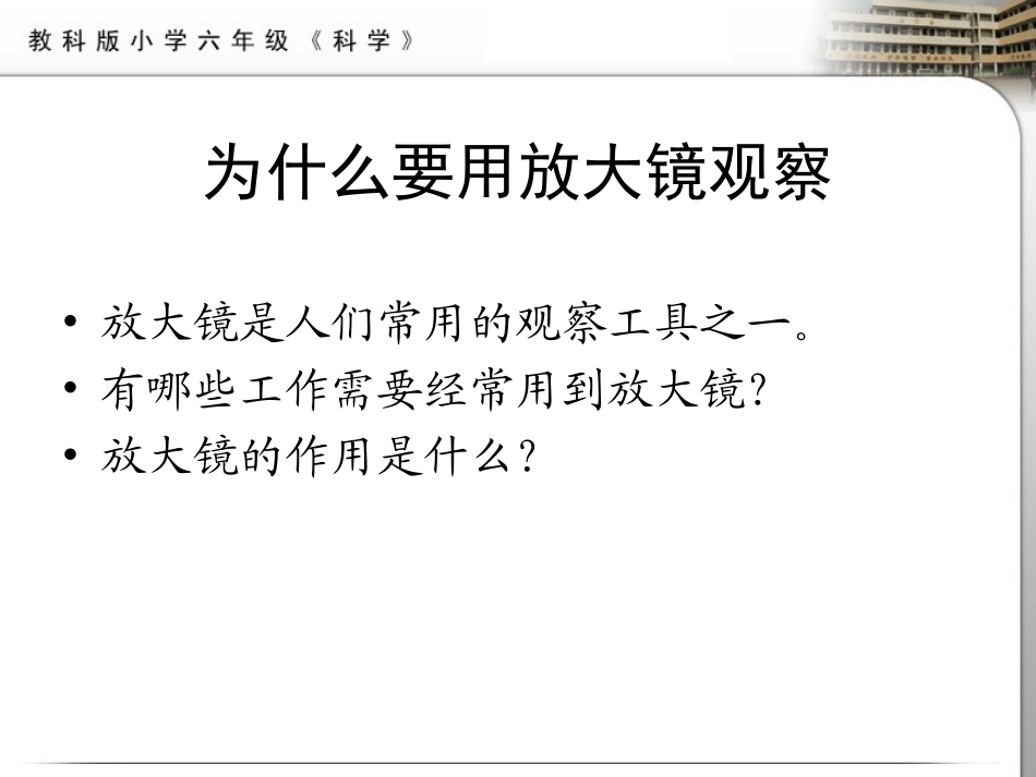 六年级科学下放大镜1_第3页