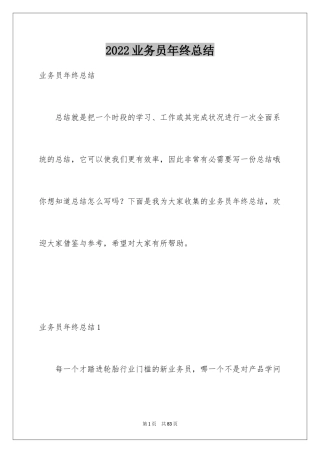 2024业务员年终总结_11