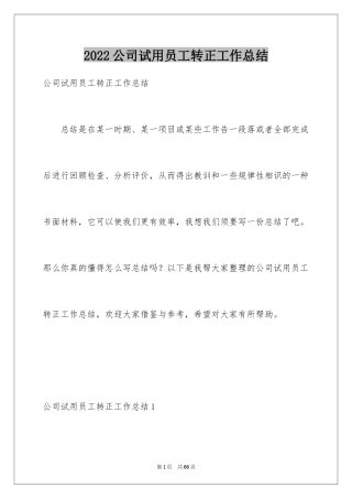 2024公司试用员工转正工作总结