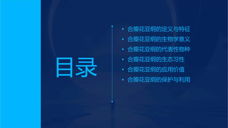 合瓣花亚纲概述课件_第2页