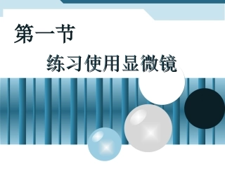 练习使用显微镜PPT